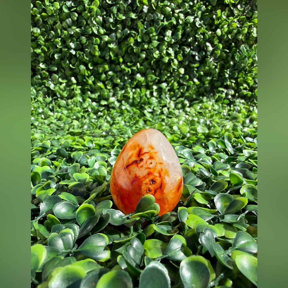 Carnelian Egg